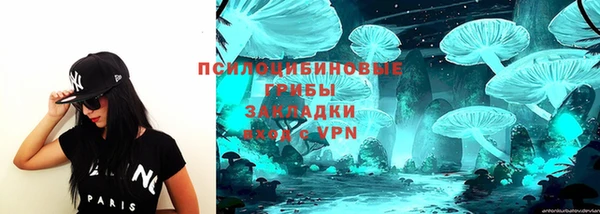 гидропоника Белокуриха